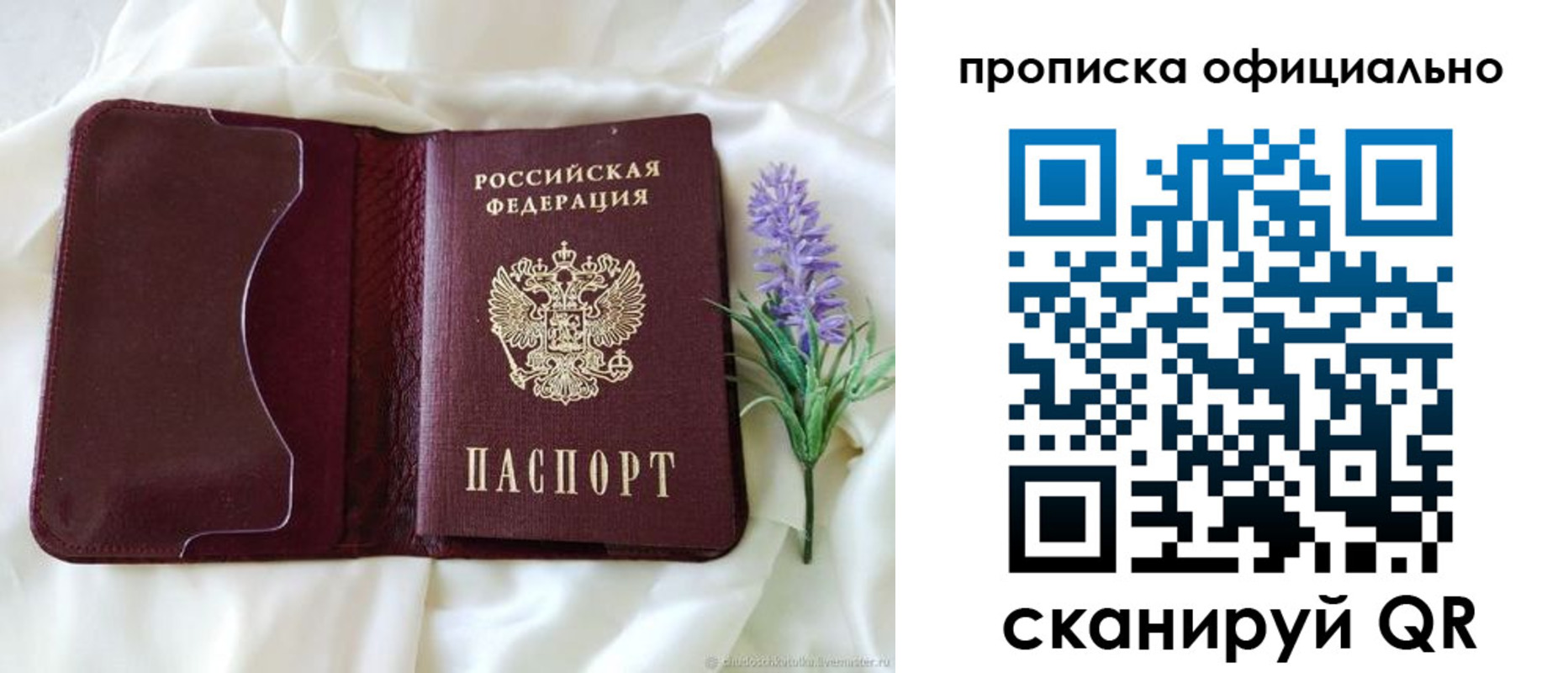 прописка поиск в Североморске